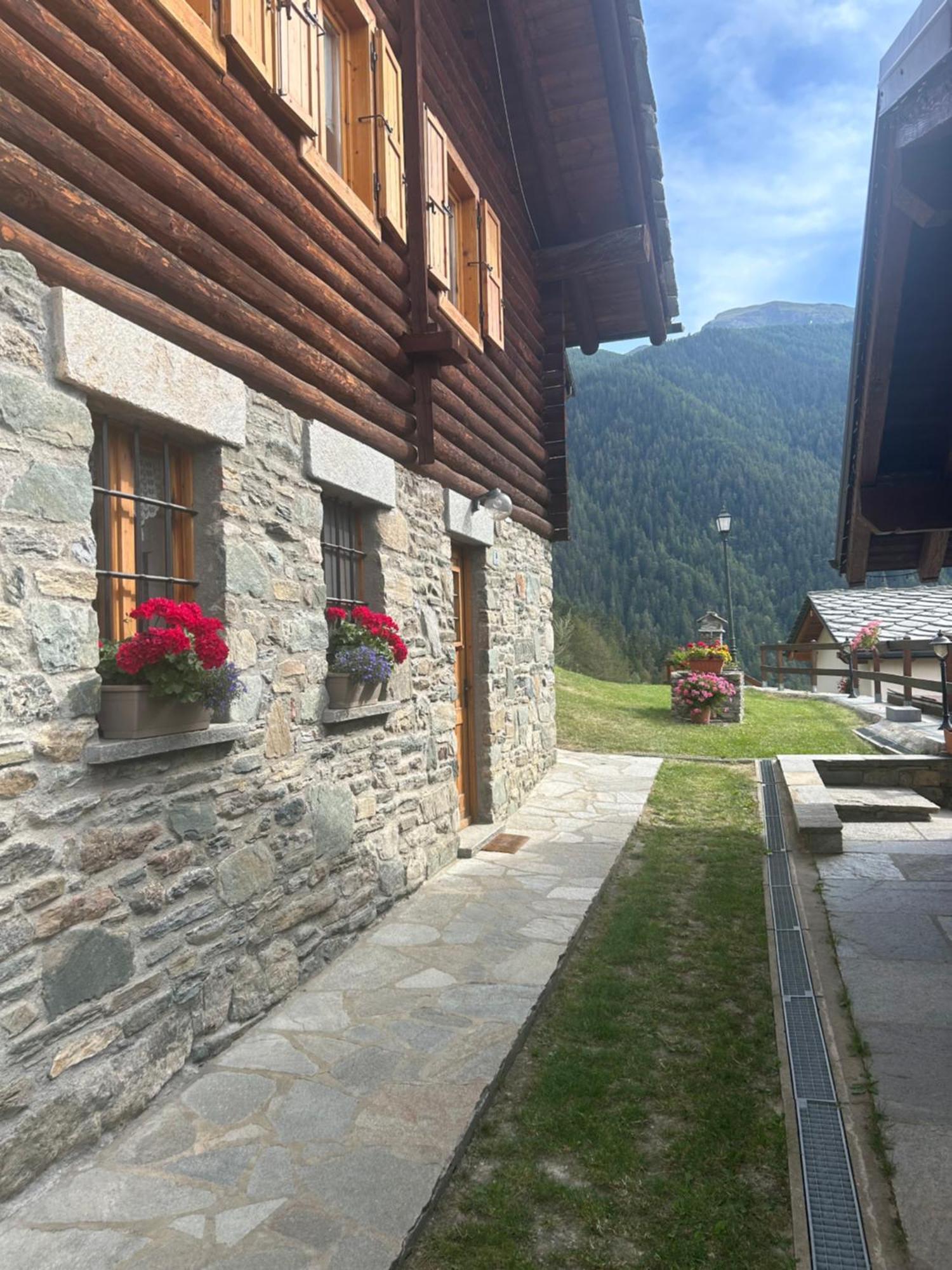 Monolocale Di Montagna Guest House Гресан Екстериор снимка
